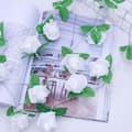 Miniatyrbild 4 av 4: TD® 20 White Flower Warm White LED Fairy Lights för inomhusdekoration - Rose Flower Form White Light