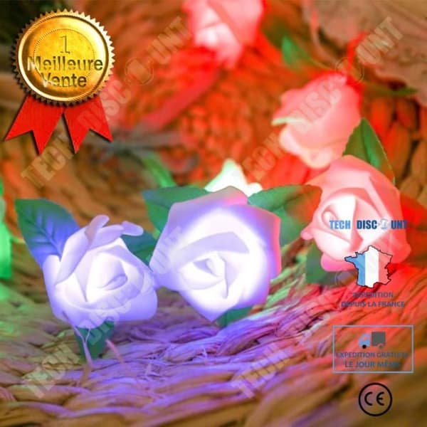 TD® 20 White Flower Warm White LED Fairy Lights för inomhusdekoration - Rose Flower Form White Light