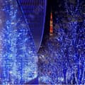 Miniatyrbild 3 av 4: TD® LED-ljusgirlanger 30 m vattentät - 8 ljuslägen - bröllop, födelsedag, julgran, utomhusdekoration inomhus
