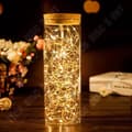 Miniatyrbild 2 av 3: TD® Batteridrivna LED String Lights 10M 5M 4M 2M Koppartråd Fairy Lights String Lights - Modell: 5M DC12V Lila