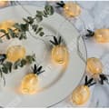 Miniatyrbild 4 av 4: TD® String Lights 3M 20 lampor LED batteridrivna Fairy Lights Liten ananas för fest Jul Bröllop Födelsedag Afton Jul