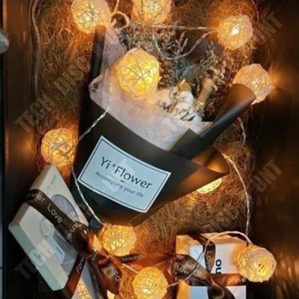 TD® LED String Lights Manual Ball Fairy Lights 5M 40 LEDs Romantisk dekorationsbelysning