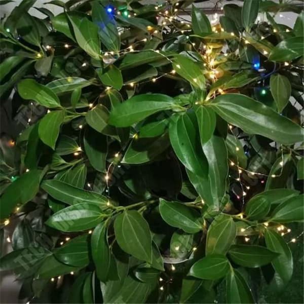 TD®-paket med 3 LED-slingor 5m 50 LED-lampor, varmvita, för sovrum, jul, bröllop, fest, hem, trädgård.
