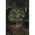 Miniatyrbild 3 av 3: SMARDTV utomhus solgarland - Luciole 100 kallvita lysdioder - 11,9 m - metall