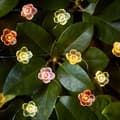Miniatyrbild 1 av 4: Lights4fun inomhus ljus girland - C20-ROSE-M - 20 flerfärgade rosor ljus girland med varmvit mikro-LED