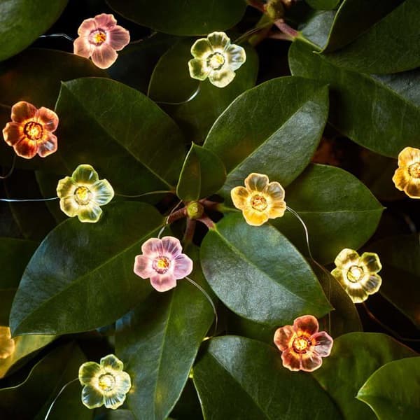 Lights4fun inomhus ljus girland - C20-ROSE-M - 20 flerfärgade rosor ljus girland med varmvit mikro-LED