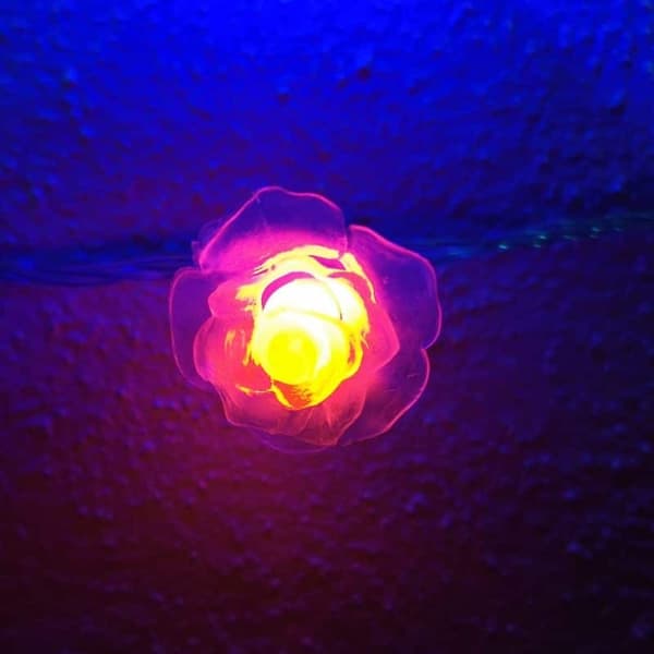 LED-ljuskedja med blommor 20 st Transparent - Multicolor w / flash (3.5 meter)