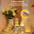 Miniatyrbild 3 av 5: Lollanda 30 LED Ljusslinga 3 m, Dekorativa Ljus – batteridriven, Varmvit/Flerfärgad, Vattentät, 12/20-pack