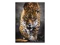 Miniatyrbild 2 av 5: Clementoni High Quality Collection Animals - Walk of the Jaguar - pussel - 1000 delar
