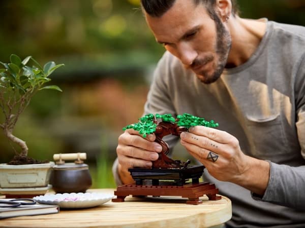 LEGO Botanical Collection Bonsaiträd 10281