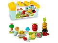 Pikkukuva 1 / 5: LEGO DUPLO My First 10984 Luomupuutarha