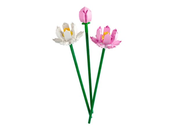 LEGO Botanicals 40647 Lotusblomster