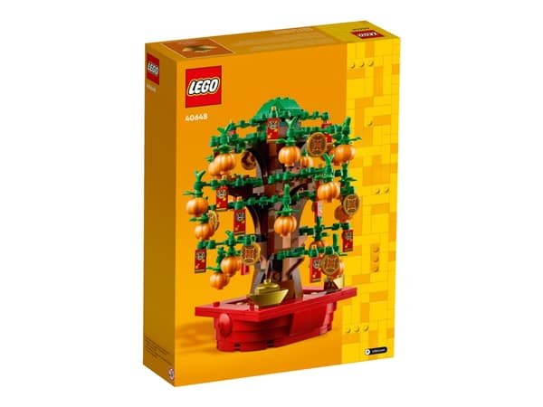 LEGO 40648 - Rahapuu