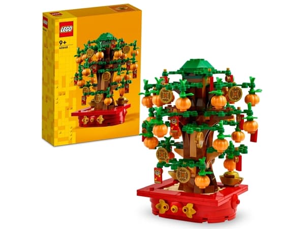 LEGO 40648 - Rahapuu
