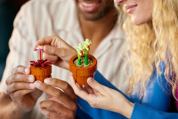 LEGO Botanical Collection Små växter 10329