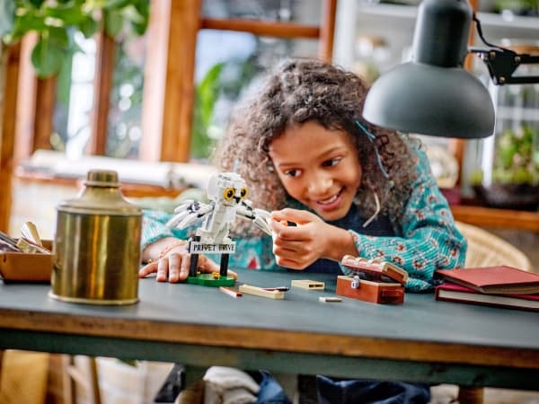 LEGO Harry Potter TM 76425 Hedvig i Hekkveien 4