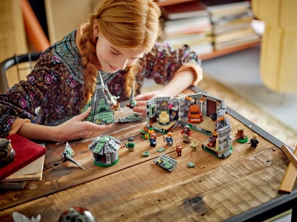 LEGO Harry Potter TM 76428 Hagridin mökki: Odottamaton vierailu