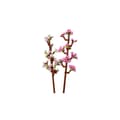 Pikkukuva 4 / 4: LEGO Botanicals - Kirsikankukat