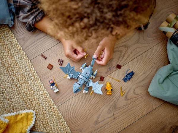 LEGO® Ninjago Drakungen Riyu 71810