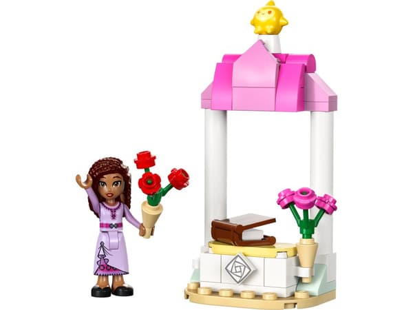 LEGO® Disney Ashas välkomststånd 30661