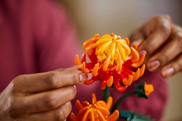 LEGO Botanicals 10368 Krysantemum