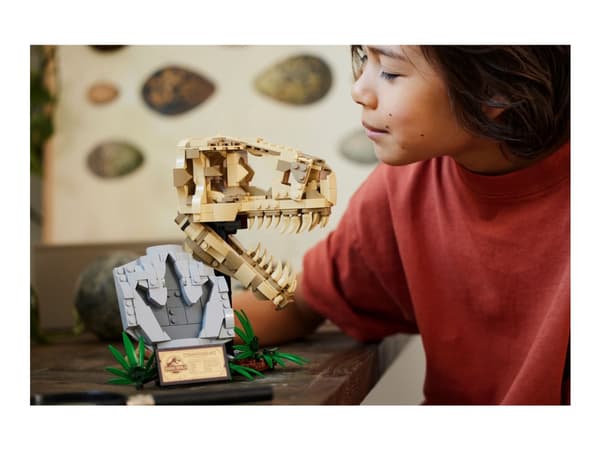 LEGO Jurassic World 76964 Dinosauriefossiler: T. rex-kranium