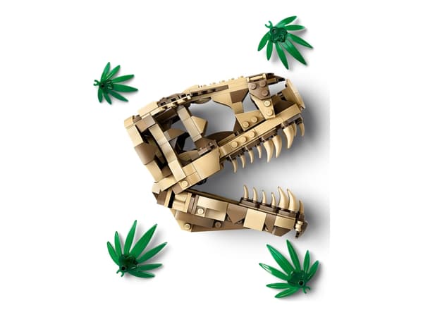 LEGO Jurassic World 76964 Dinosauriefossiler: T. rex-kranium