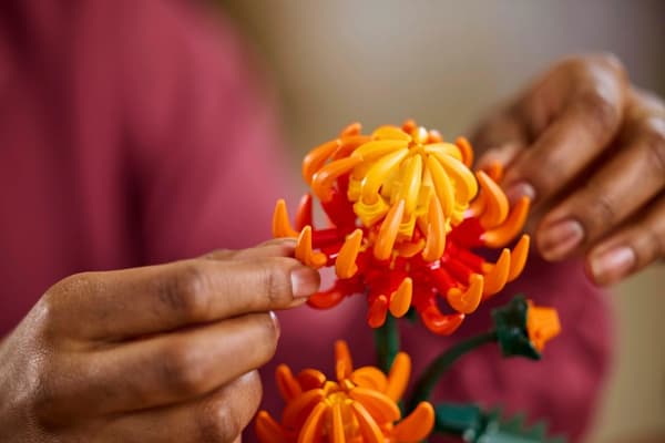 LEGO® icons Krysantemum 10368