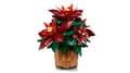Miniatyrbild 4 av 5: LEGO Botanical Collection Julstjärna 10370