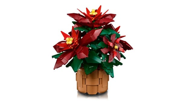LEGO Botanical Collection Julstjärna 10370
