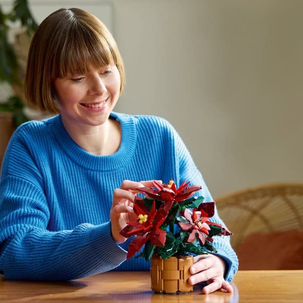 LEGO Botanical Collection Julstjärna 10370