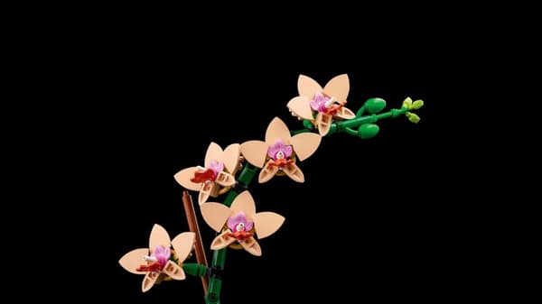 LEGO® Botanicals Miniorkidé 10343