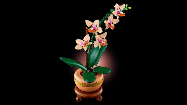LEGO® Botanicals Miniorkidé 10343