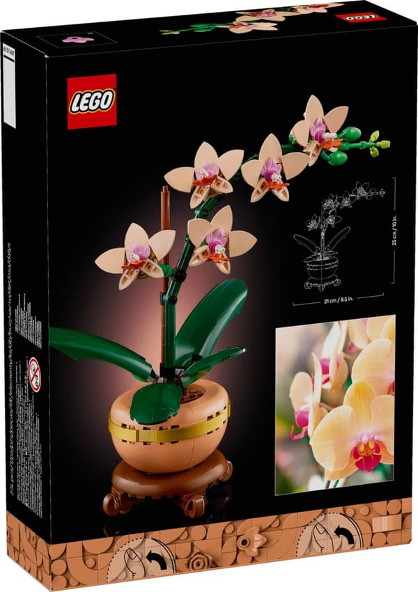 LEGO® Botanicals Miniorkidé 10343