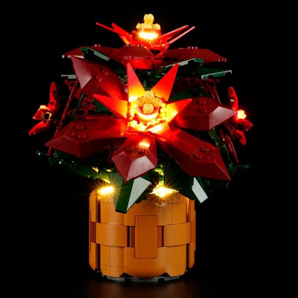 Belysning till Botanicals Julstjärna 10370 LGK695