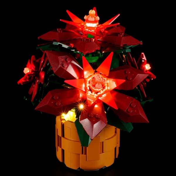 Belysning till Botanicals Julstjärna 10370 LGK695