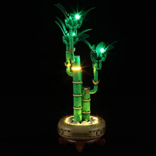 Belysning till Botanicals Bambudracena 10344 LGK714