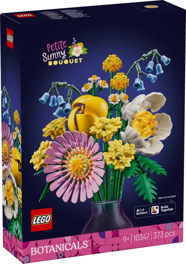 LEGO Botanicals Liten sommarbukett 10347