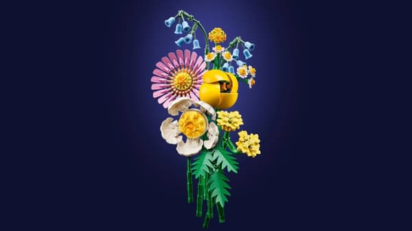 LEGO® Botanicals Liten sommarbukett 10347