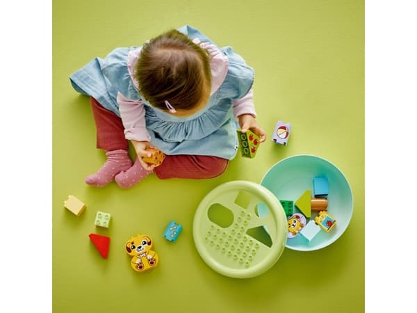 LEGO DUPLO My First 10441 Opetellaan muotoja: Koiranpentujen talo