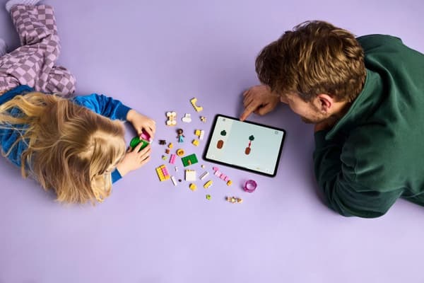 LEGO® Friends Valplekplats 42665