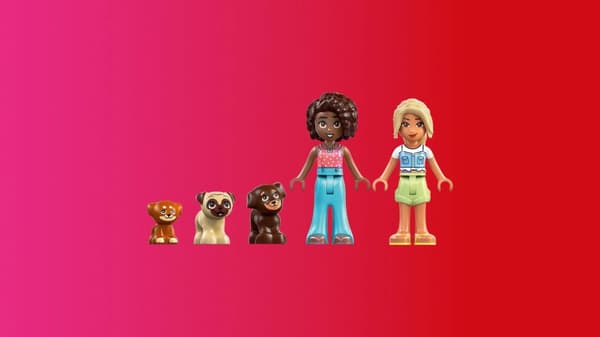 LEGO® Friends Valplekplats 42665