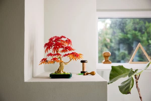 LEGO® Botanicals Bonsaiträd: japansk lönn 10348