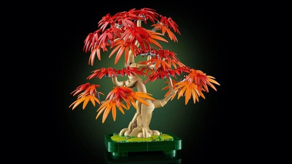 LEGO® Botanicals Bonsaiträd: japansk lönn 10348