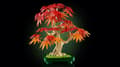Miniatyrbild 5 av 7: LEGO® Botanicals Bonsaiträd: japansk lönn 10348