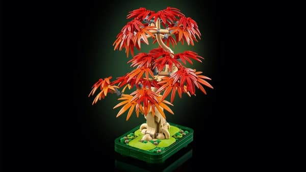 LEGO® Botanicals Bonsaiträd: japansk lönn 10348
