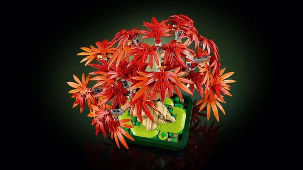 LEGO® Botanicals Bonsaiträd: japansk lönn 10348