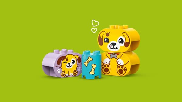 LEGO® DUPLO Formsorterare: valphus 10441