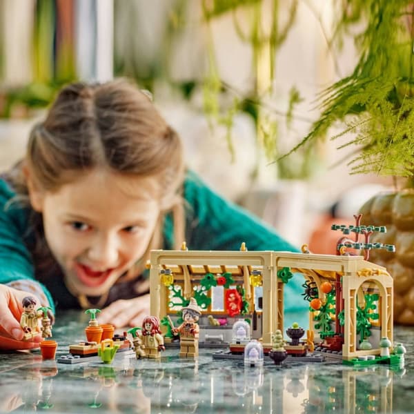 LEGO Harry Potter Hogwarts slott: lektion i örtlära 76445