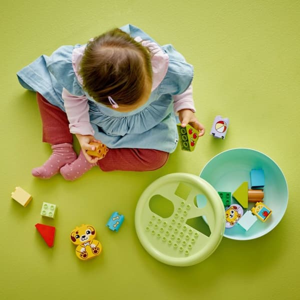 LEGO DUPLO Formsorterare: valphus 10441
